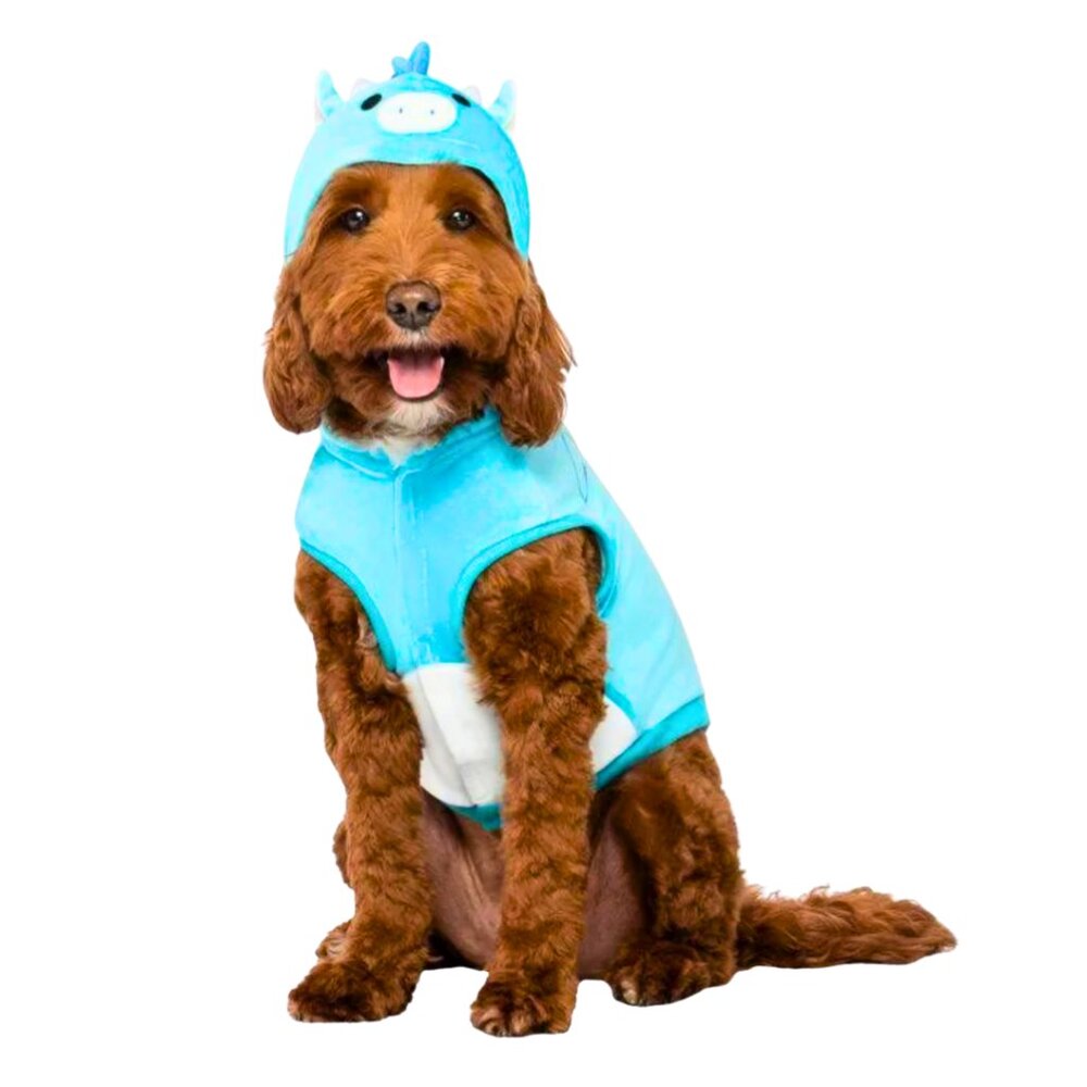 🐲 Tatiana the Dragon Squishmallows Blue Dog Costume MED